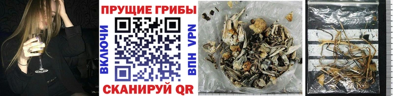 что такое наркотик  Хотьково  мориарти какой сайт  Галлюциногенные грибы MAGIC MUSHROOMS 